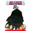 Bleach, Vol. 6