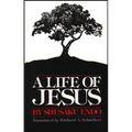 A Life of Jesus