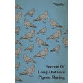 Secrets of Long-Distance Pigeon Racing