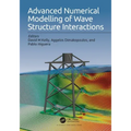 Advanced Numerical Modelling of Wave Structure Interaction