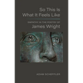So This Is What It Feels Like: Empathy in the Poetry of James Wright