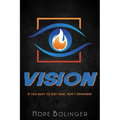 Vision: If You Want to Stay Sane, Don't Remember