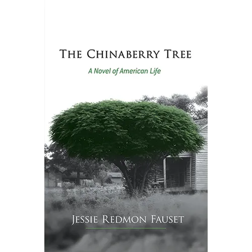 The Chinaberry Tree: A Novel of American Life