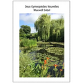 Deux Gymnopédies Nouvelles