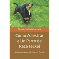 Cómo Adiestrar a Un Perro de Raza Teckel: Adiestramiento Fácil de un Teckel