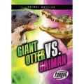 Giant Otter vs. Caiman