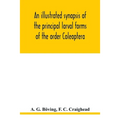 An illustrated synopsis of the principal larval forms of the order Coleoptera