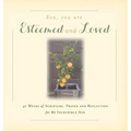 Son, You are Esteemed and Loved: 40 Weeks of Scripture, Prayer and Reflection for My Incredible Son
