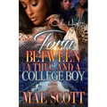 Torn Between A Thug And A College Boy: An Urban Romance: Standalone