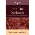 Into the Darkness