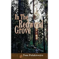 In The Redwood Grove