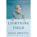 Lightning Field