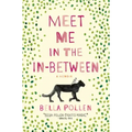 Meet Me in the In-Between: A Memoir