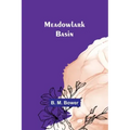 Meadowlark Basin
