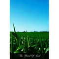 The Hand Of God: A Theology For The People