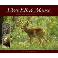 Deer, Elk & Moose: Grand and Majestic Creatures
