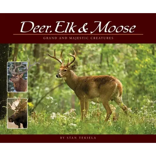 Deer, Elk & Moose: Grand and Majestic Creatures