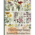1914 Vintage Botany Botanical Illustration Sizes