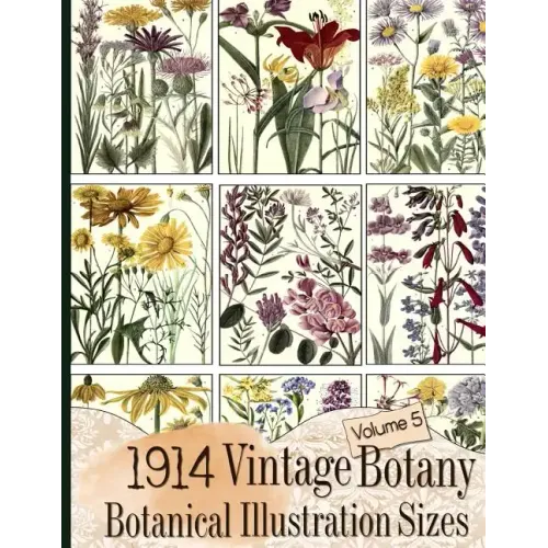 1914 Vintage Botany Botanical Illustration Sizes