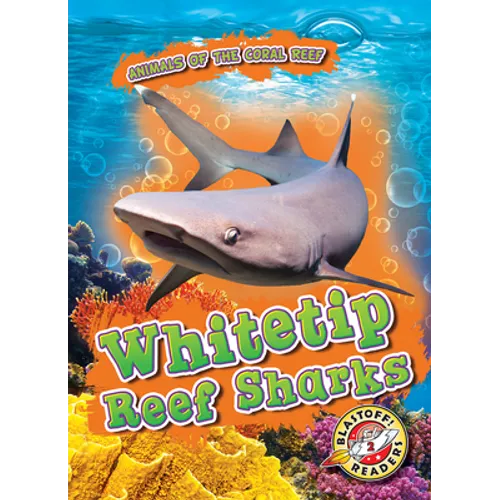 Whitetip Reef Sharks