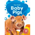 Baby Pigs