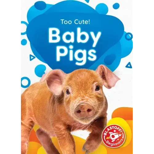 Baby Pigs