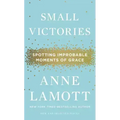 Small Victories: Spotting Improbable Moments of Grace