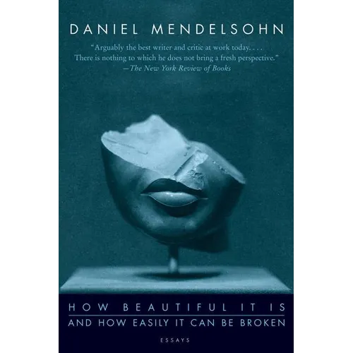 How Beautiful It Is and How Easily It Can Be Broken: Essays