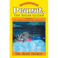 The Adventures of Peanut, the Sugar Glider: Volume 3: The Summer RV Road Trip Adventures
