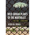 Wild Urban Plants of the Northeast: A Field Guide