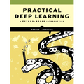 Practical Deep Learning: A Python-Based Introduction