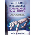 Artificial Intelligence for People in a Hurry: How You Can Benefit from the Next Industrial Revolution