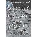 Visible from the Surface of the Moon