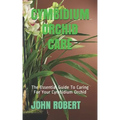 Cymbidium Orchid Care: The Essential Guide To Caring For Your Cymbidium Orchid