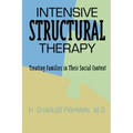 Intensive Structural Therapy: Treating Families in Their Social Context