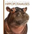 Hippopotamuses