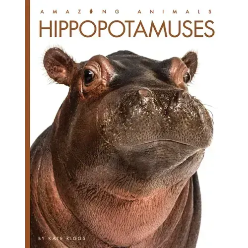 Hippopotamuses