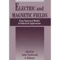 Electric and Magnetic Fields: From Numerical Models to Industrial Applications