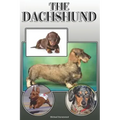 The Dachshund: A Complete and Comprehensive Owners Guide to: Buying, Owning, Health, Grooming, Training, Obedience, Understanding and