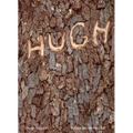 Hugh Hayden: American Vernacular