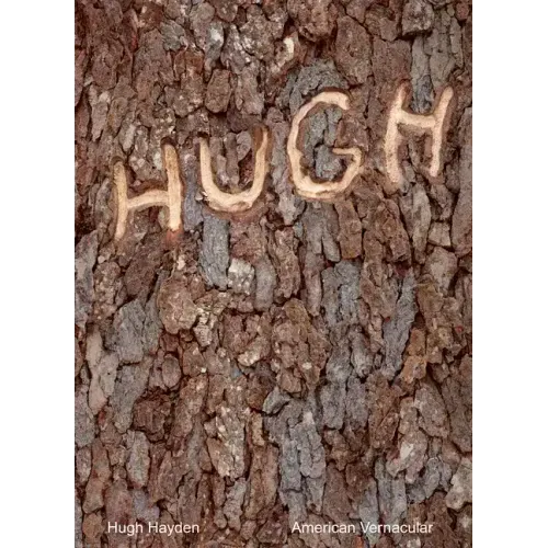 Hugh Hayden: American Vernacular