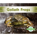 Goliath Frogs