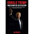 Donald Trump: How he won the 2016 Election