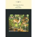 The Animal Why Book - Pictures by Edwin Noble