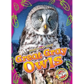 Great Gray Owls