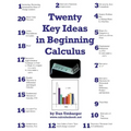 Twenty Key Ideas in Beginning Calculus
