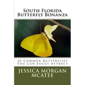 South Florida Butterfly Bonanza: 20 Common Butterflies You Can Easily Attract