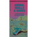 Animal Skulls & Bones: A Laminated Folding Guide to the Bones of Common North American Animals