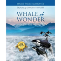 Whale of Wonder