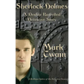 Sherlock Holmes: A Double Barreled Detective Story